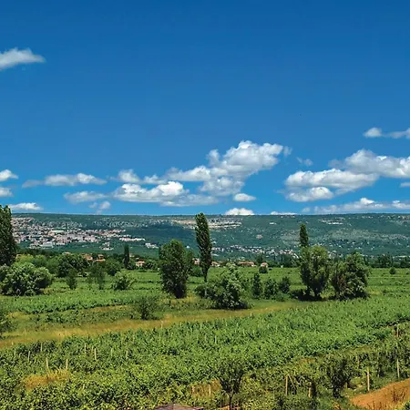 Beautiful In Ricice With View *
